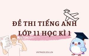 Đề thi tiếng Anh lớp 11 học kì 1