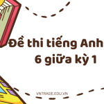 Đề thi tiếng Anh lớp 6 giữa kỳ 1 đầy đủ nhất