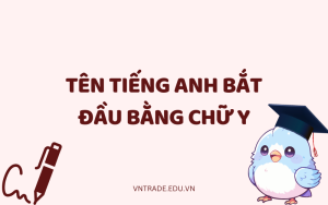 Tên tiếng Anh bắt đầu bằng chữ Y