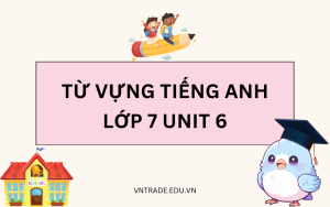 Từ vựng tiếng Anh lớp 7 Unit 6