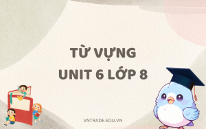 Từ vựng Unit 6 lớp 8