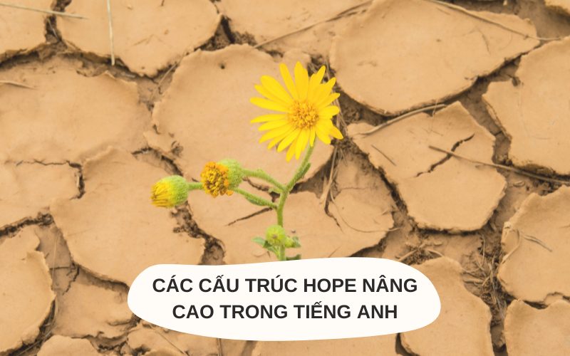 Các cấu trúc Hope nâng cao trong tiếng Anh