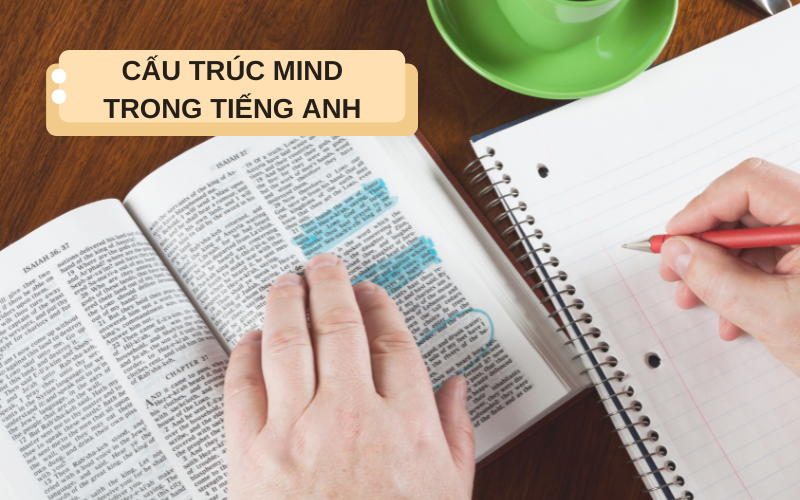 Cấu trúc Mind trong tiếng Anh