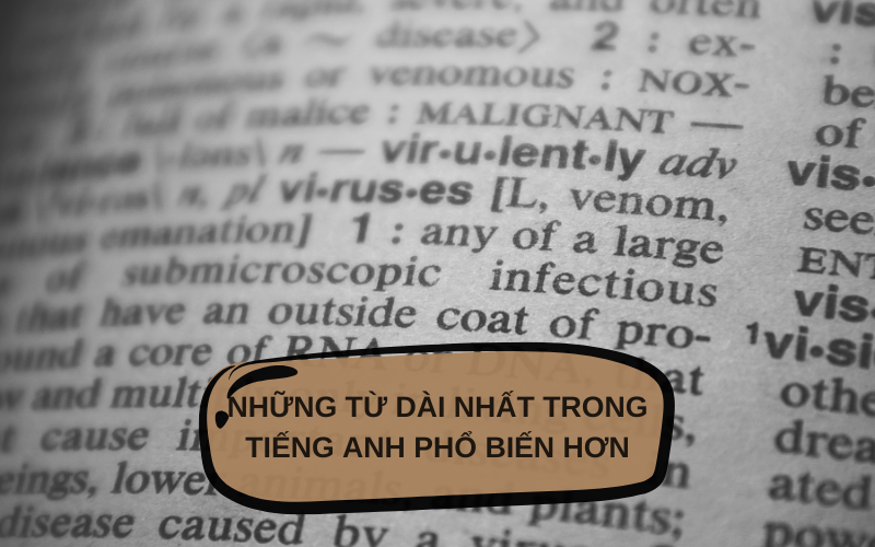 Những từ dài nhất trong tiếng Anh phổ biến hơn