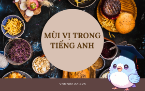 mùi vị trong tiếng Anh