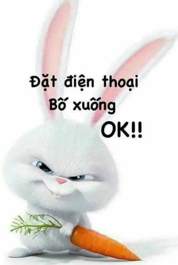 hình nền đặt điện thoại bố xuống