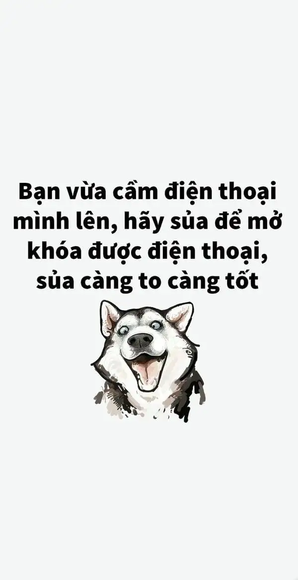 ảnh nền điện thoại bỏ điện thoại tao xuống