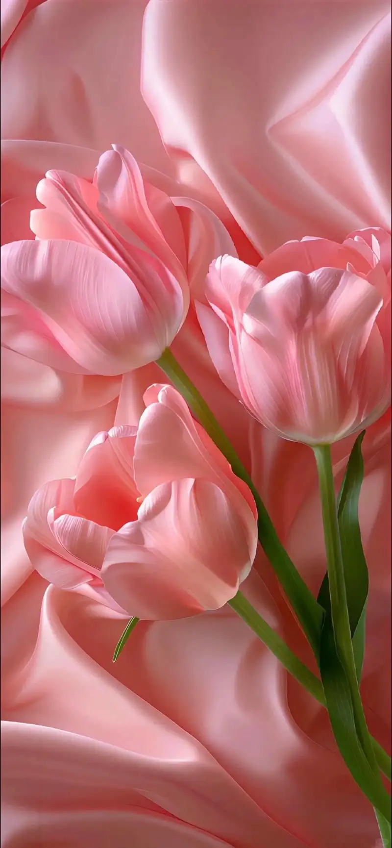 hình nền điện thoại tulip tông hồng