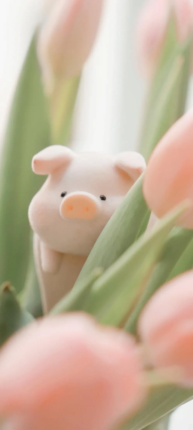 hình nền điện thoại lulu the piggy hoa tulip