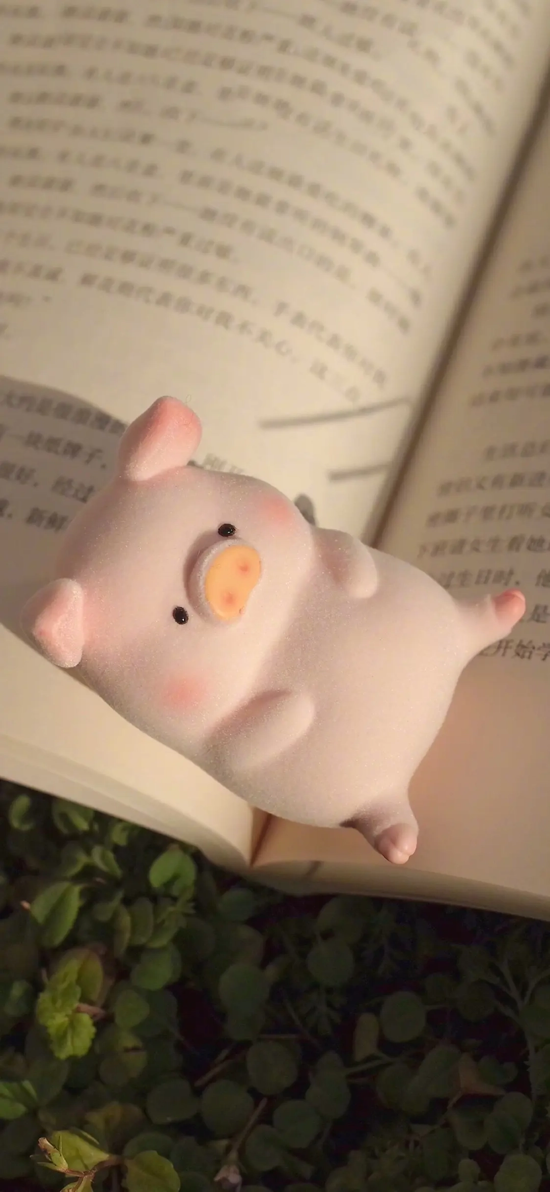 ảnh hình nền lulu the piggy cute hài hước