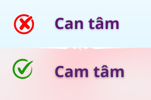 Can tâm hay Cam tâm
