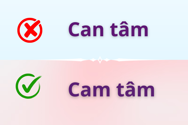 Can tâm hay Cam tâm
