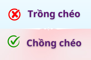 Chồng chéo hay Trồng chéo