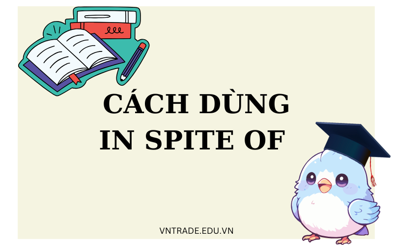 Cách dùng In Spite Of