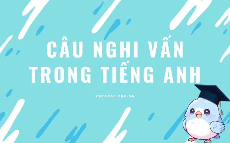 Câu nghi vấn trong tiếng Anh