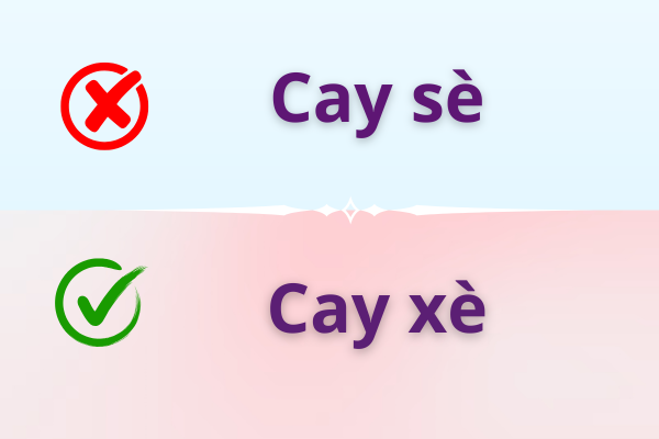 Cay xè hay cay sè