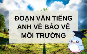 Đoạn văn tiếng Anh về bảo vệ môi trường