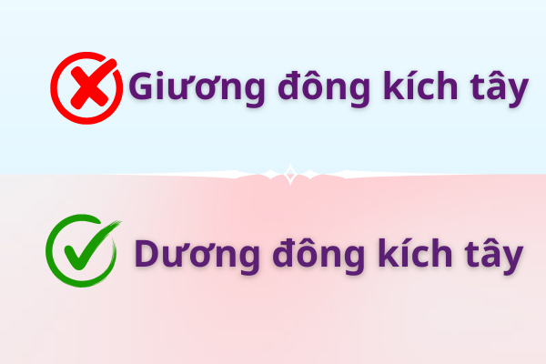 dương đông kích tây hay giương đông kích tây