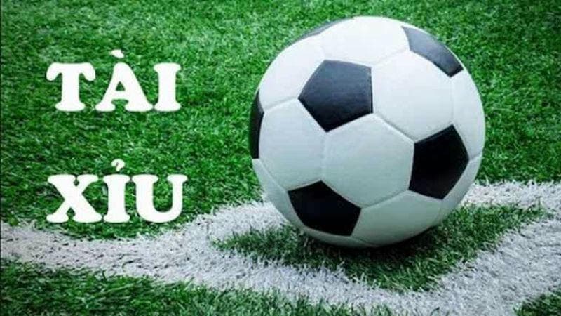 Bí Kíp Khi Chơi Tài Xỉu Bàn Thắng