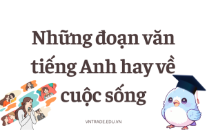 Những đoạn văn tiếng Anh hay về cuộc sống