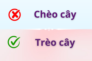 Trèo cây hay chèo cây