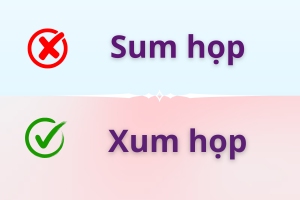 Xum họp hay sum họp