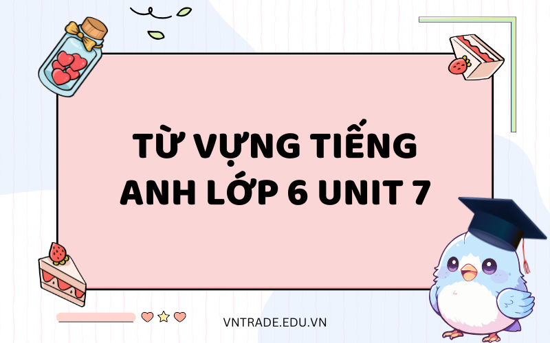 Từ vựng tiếng Anh lớp 6 unit 7