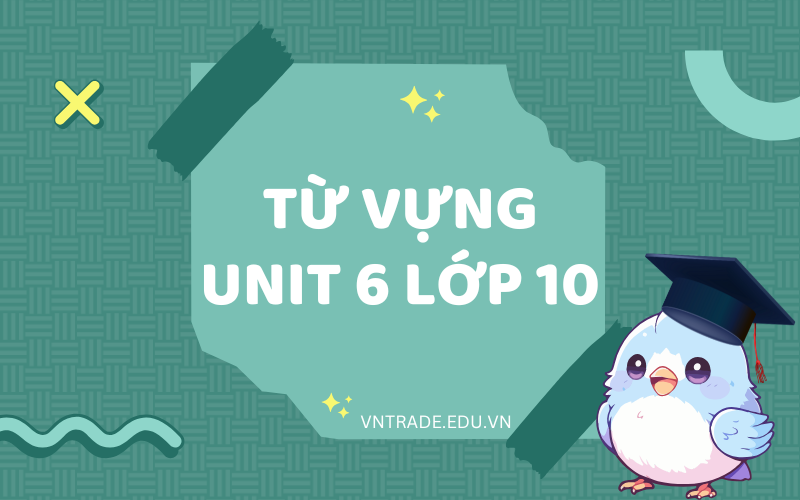 Từ vựng unit 6 lớp 10 Global success 