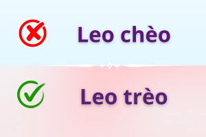 Leo trèo hay leo chèo