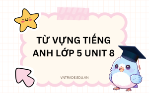 từ vựng tiếng Anh lớp 5 unit 8