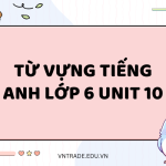 Từ vựng tiếng Anh lớp 6 unit 10