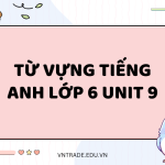 từ vựng tiếng Anh lớp 6 Unit 9