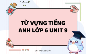 từ vựng tiếng Anh lớp 6 Unit 9