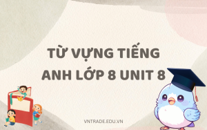 từ vựng tiếng Anh lớp 8 Unit 8