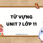 từ vựng unit 7 lớp 11 global success