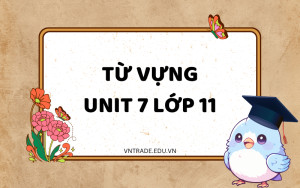 từ vựng unit 7 lớp 11 global success