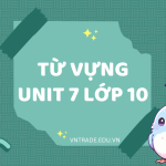 từ vựng unit 7 lớp 10 global success