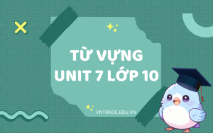 từ vựng unit 7 lớp 10 global success