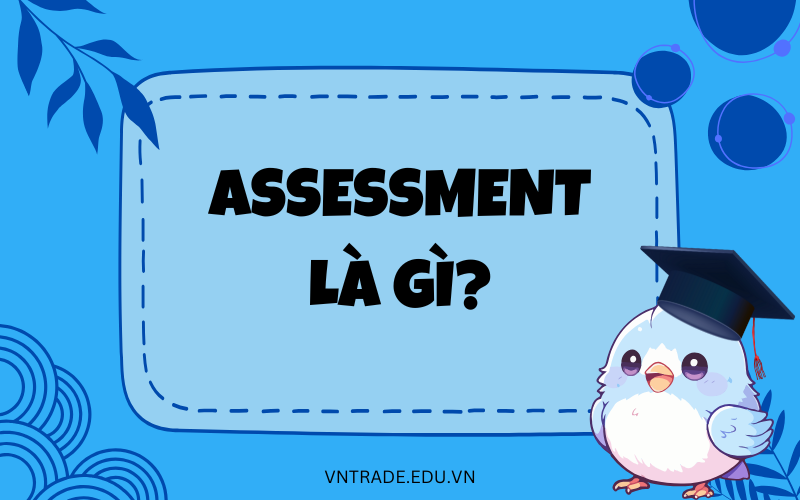 Assessment là gì?