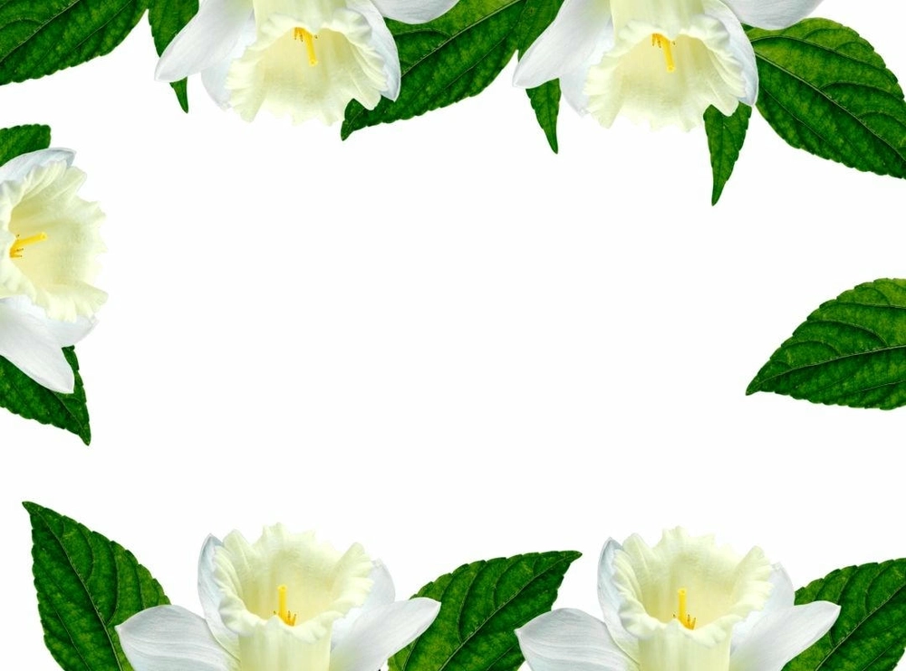 background màu xanh lá cây cho powerpoint 