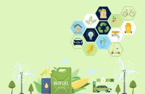 hình nền powerpoint về môi trường xanh sạch đẹp