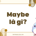 Maybe là gì?