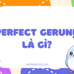 Perfect Gerund là gì?