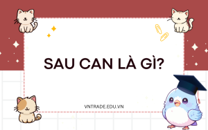 Sau can là gì