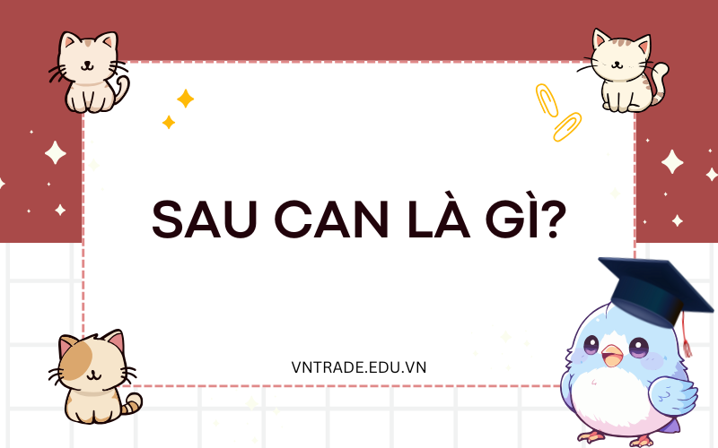 Sau can là gì