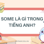 Some là gì trong tiếng Anh?