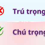 Chú trọng hay trú trọng