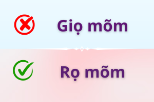 Giọ mõm hay rọ mõm