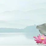 hình nền powerpoint hoa sen nền nhạt