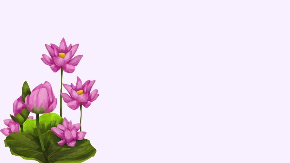 background powerpoint hoa sen đơn giản 